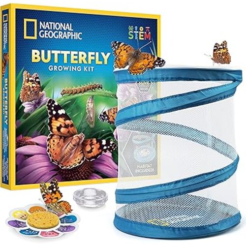 NATIONAL GEOGRAPHIC Butterfly Growing Kit with Voucher to Redeem 5 Caterpillars (S&H Not Included) - Butterfly Habitat Kit, Butterfly Cage, Feeder (Amazon Exclusive)