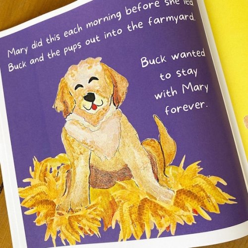 Doodletales autographed Copy Buck's New Family - Etsy