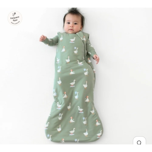 Sleep Bag in Silly Goose 1.0