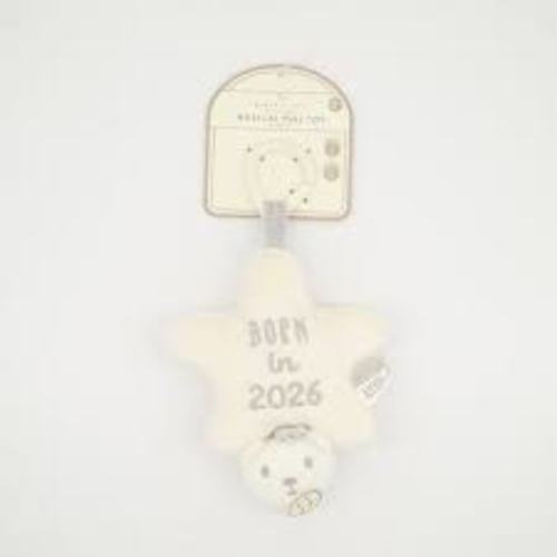 apple ivy born in 2026 musical pull toy - Google Search