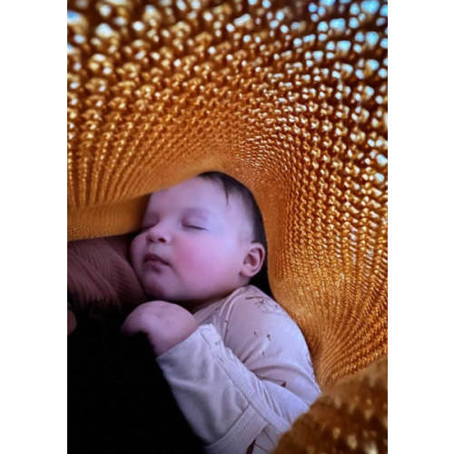 Honey Cocoon: Breathable, Lightweight, Chic Nursing Cover