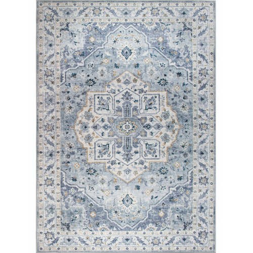 Amara - Light Blue/Ivory 9 x 12