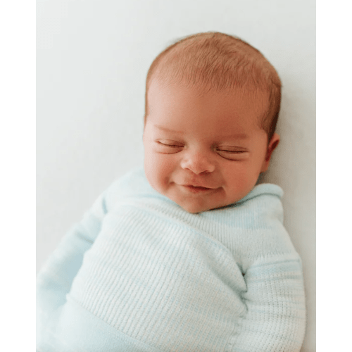 Blue Swaddle Sleep Sack – Swaddelini