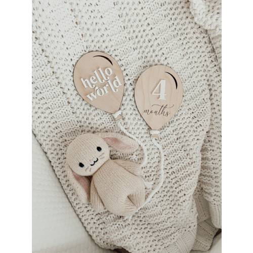 Balloon Baby Wood Sign | Hospital Picture Sign