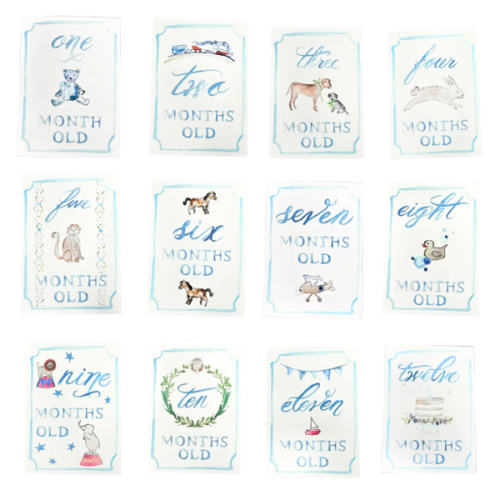 Monthly Milestone Card Set - Blue | Danrie