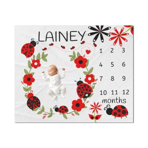 Personalized Ladybug Blanket Girl, Ladybug Milestone Blanket Baby Girl, Ladybug Name Blanket, Growth Tracker Blanket, Gift for Baby Girl