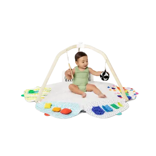 Lovevery Play Gym & Play Kit Subscription