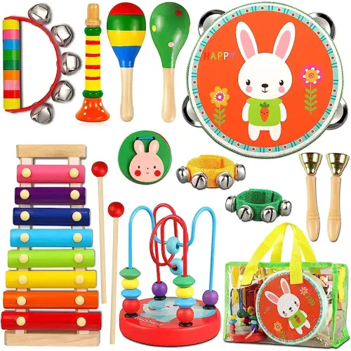 LOOIKOOS Toddler Musical Instruments Toys, Wooden Percussion Instruments Set for Kids Baby with Xylophone, Preschool Educational Musical Toys for Boys and Girls with Storage Bag(12pcs)