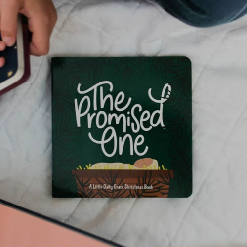 The Promised One - Board Book | TDGC – The Daily Grace Co.