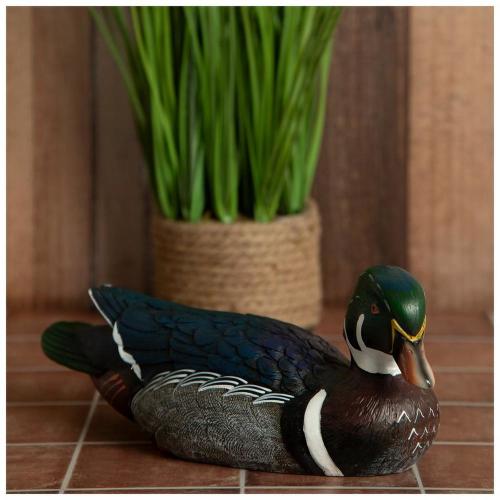 Carolina Duck