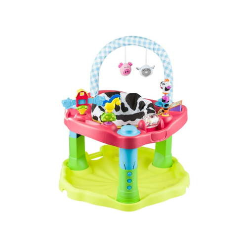 ExerSaucer Moovin' & Groovin' Bouncing Activity Saucer, Unisex