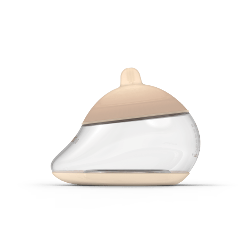 The Anatomy Bottle
