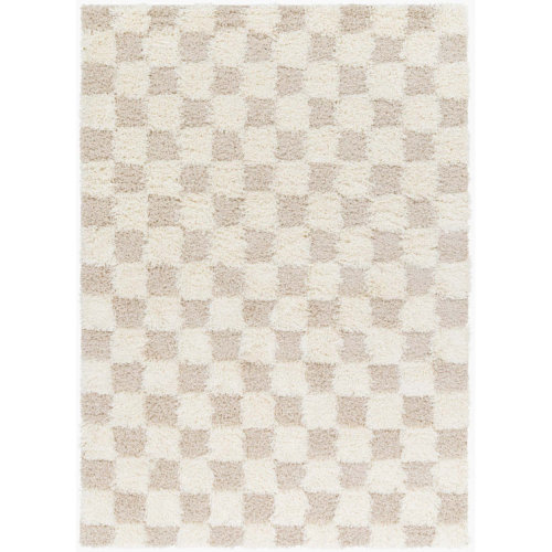 Atiran Checkered Shag Beige Area Rug