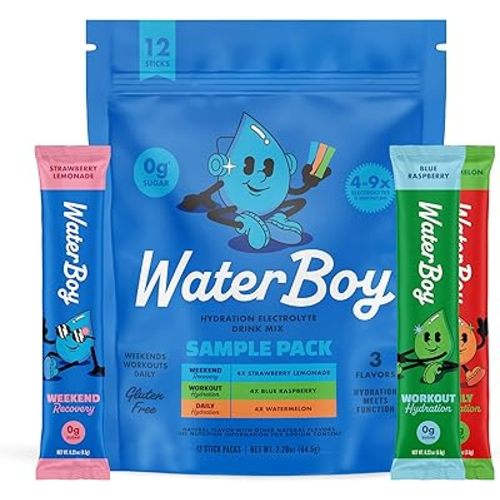 Waterboy Hydration Recovery Variety | 4-9x Electrolyte Powder Packets | Ginger + L-Theanine + L-Glutamine + Vitamins | No Sugar, All Natural, Gluten Free | 12 Drink Stick Mixes (Variety Pack)