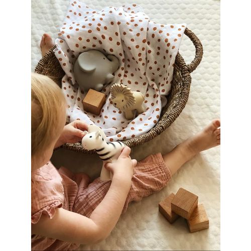 Lion Organic Natural Rubber Rattle, Teether & Bath Toy