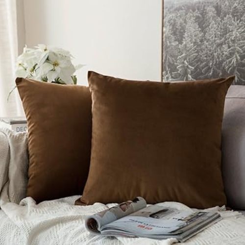 MIULEE Pack of 2, Velvet Soft Solid Decorative Square Throw Pillow Covers Set Cushion Case for Sofa Bedroom Car 20 x 20 Inch 50 x 50 Cm
