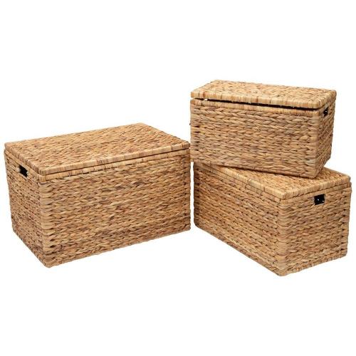 Water Hyacinth Trunks