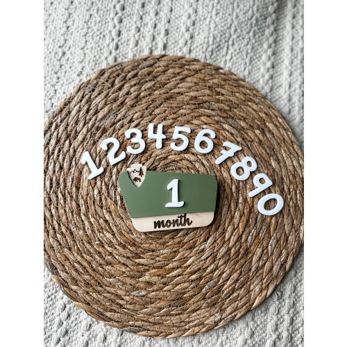 National Park Birth Monthly Milestones | Let the Adventure Begin | Milestone Markers | Baby Shower Gift | Woodlands Nursery Decor