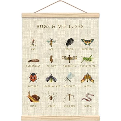HKTZM Bugs Mollusks Wooden Poster Hangers, 12.5x17 Inch Insects Poster, Educational Wall Art for Classroom, Kids Playroom Decor