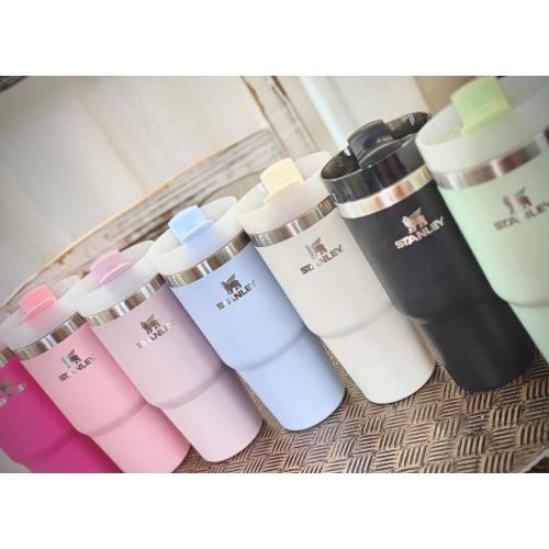 Mini me 14oz Stanley (Like) Tumbler Cup