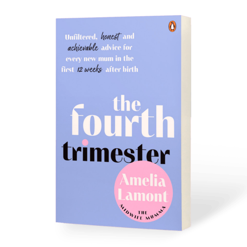 'The Fourth Trimester' Book