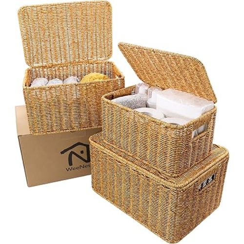 Baskets with Lids, Wicker Storage, Shelf Boxes for Organizing, Stackable Woven Bins, Decorative Lidded Resin, Set of 3, Amber
