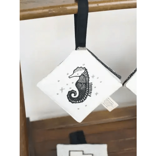 Crinkle Pages Stroller Toy