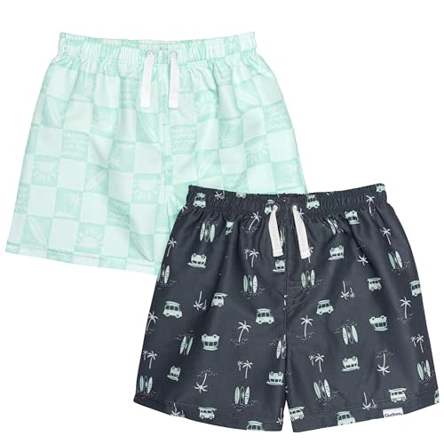 Gerber Baby Boys' Toddler 2-Pack Swim Trunks