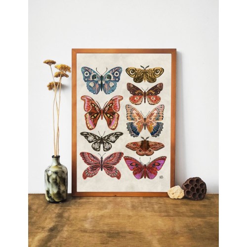Butterflies & moth art print, Butterfly Decor,Insect print, Vintage Botanical illustrations, boho art, Butterflies art, Butterfly wall art