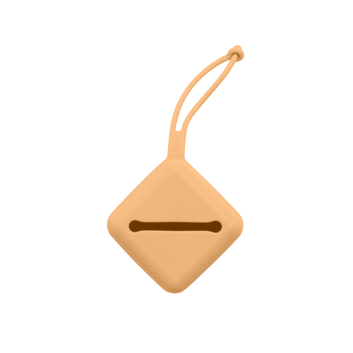 Pacifier Case - Pumpkin