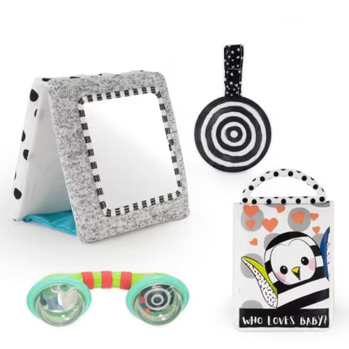 Sassy Look & Learn Baby Box Set