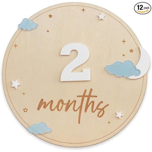 Baby Monthly Milestone, Wooden Baby Milestone Signs, Monthly Milestone Wood Discs, Baby Milestone Discs (Cloud)