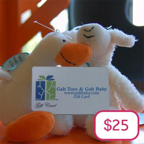 $25 Electronic Gift Card