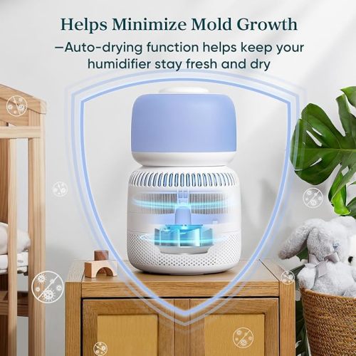 LEVOIT Humidifiers for Bedroom Baby, Sprout Evaporative with Dual Filters for Air & Water, Separate Sensor, Adjustable No Blue Nightlight, Auto Dry, Smart Control & Alexa, Auto Mode, 3.8L Tank for 36H