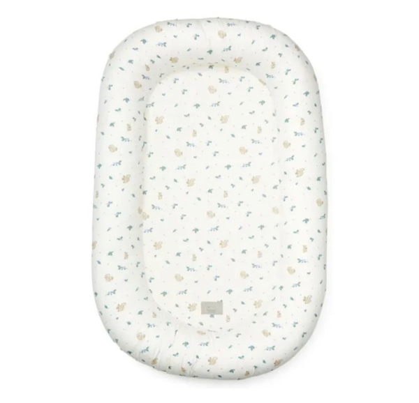 Blueberries baby wedge