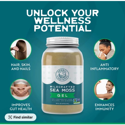 Amazon.com: Herbal Vineyards: Gold Sea Moss Gel