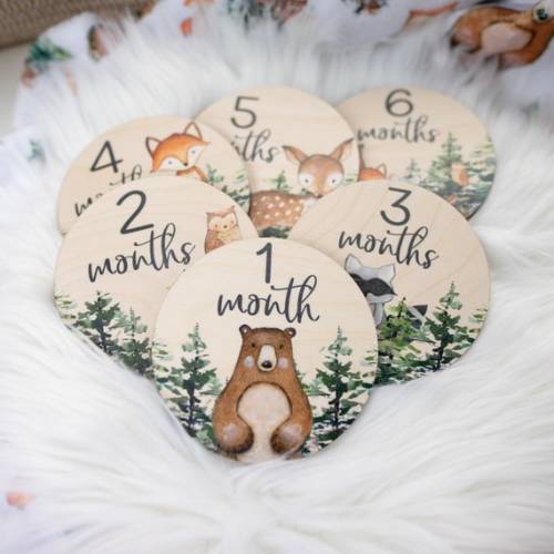 Woodland Milestone Cards, Baby Milestone Woodland Discs Marker, Wood Milestone Card, Baby Milestones, Photo Prop, Woodland Nursery Theme W1 - Etsy