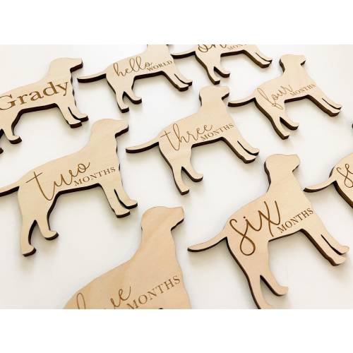 Dog Nursery Labrador Monthly Milestone Plaques | Baby Shower Gift | Custom Labrador Newborn Baby Gift for Dog Nursery | Dog lover Gift