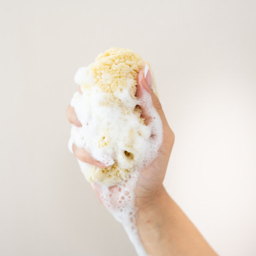 Kyte Baby Sea Sponge