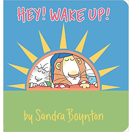 Hey! Wake Up! (Boynton on Board)