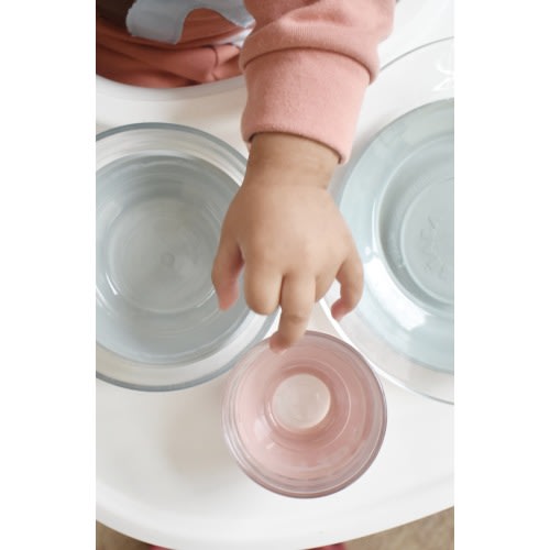 BEABA Glass Meal Set with Suction Pads, Eucalyptus/Rose
