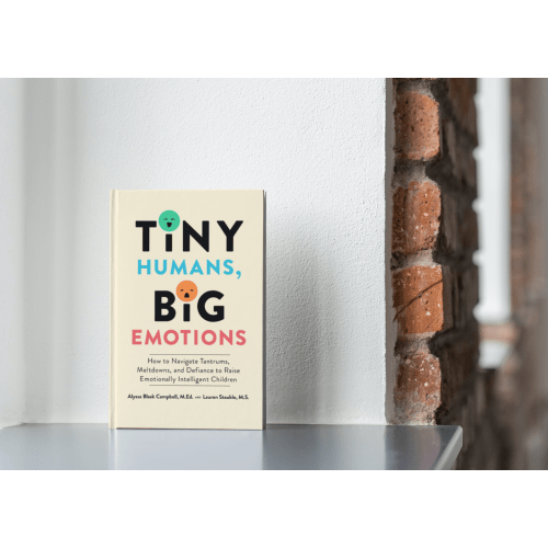 Tiny Humans, Big Emotions Book