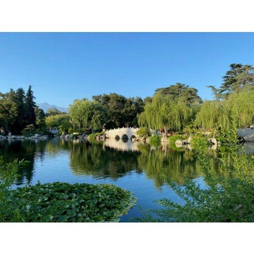 Gift Membership — The Huntington