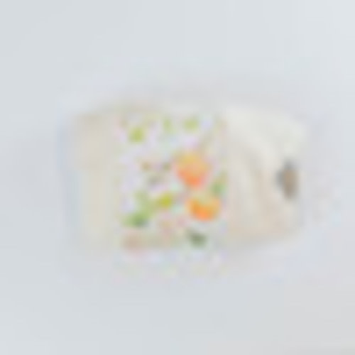 Organic Nesting Pillow Slipcover / Peaches & Cream - Blessed Nest