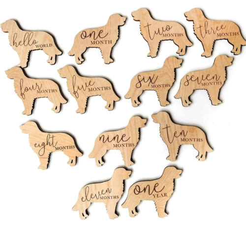 Golden Retriever Baby Milestone Plaques 7pcs 5in, Dog Nursery Gift, Custom Newborn Gift