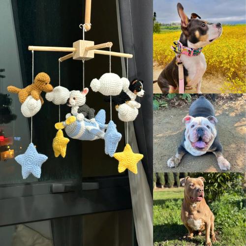 Custom Baby Mobile