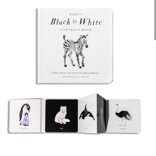 Baby's Black and White Contrast Book: High-Contrast Art for Visual Stimulation at Tummy Time (Our Little Adventures Series)