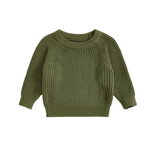 Aiwpstoin Baby Girl Boy Knit Sweater Chunky Knitted Crew Neck Pullover Sweatshirt Knitwear Toddler Fall Winter Clothes