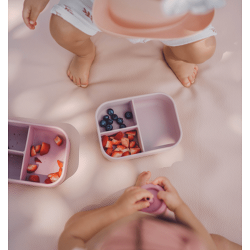 Bento Box