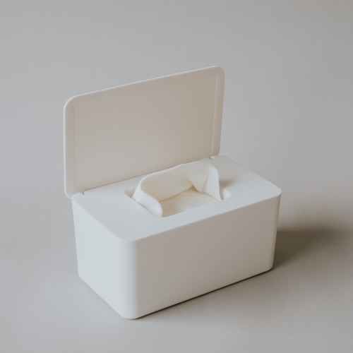 Cloth Wipes Kit - Container & Wipes